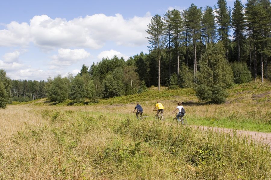 sherwood-pines-cycle-path-hi-res