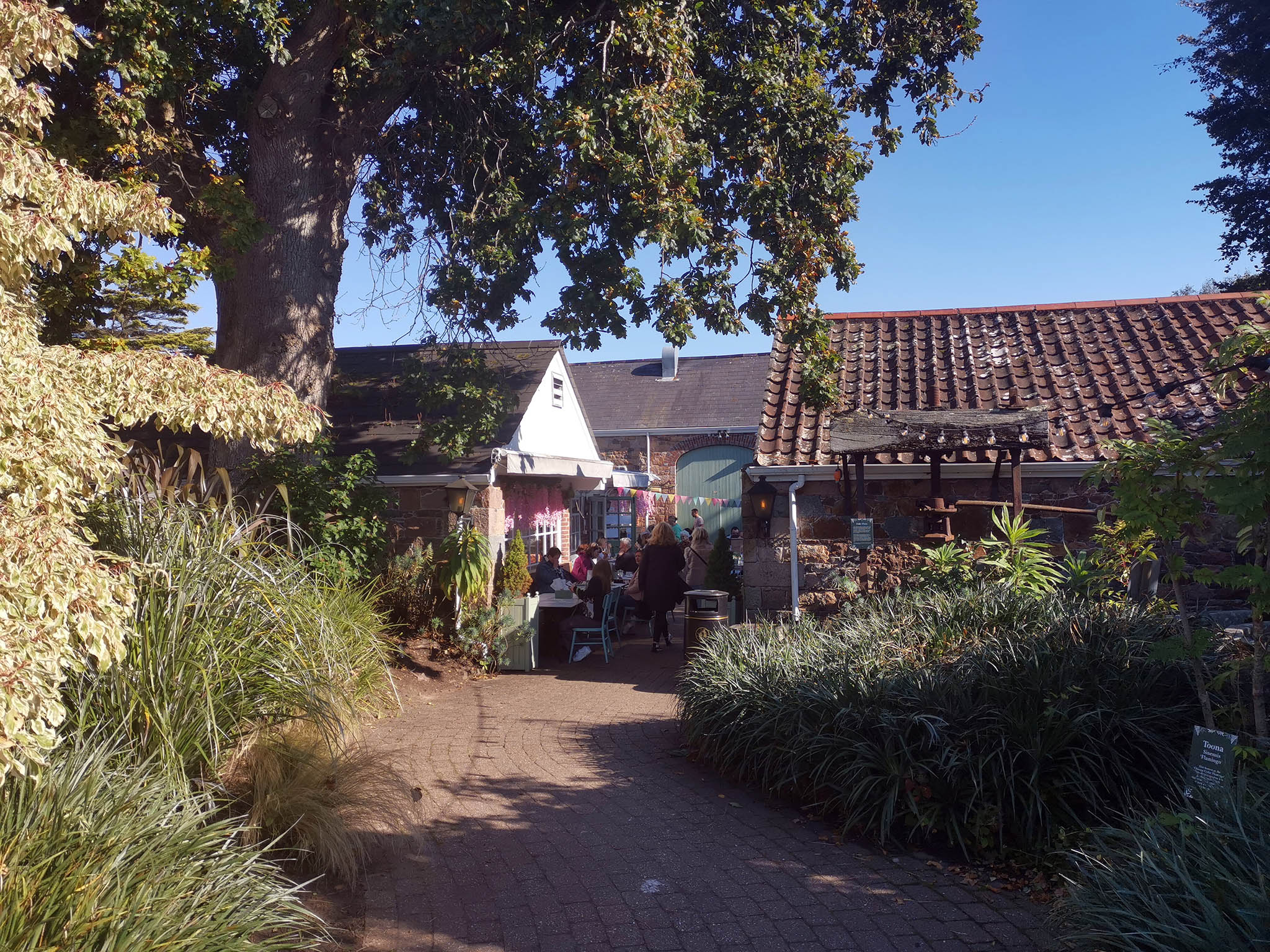 Ransolm’s in Jersey – a great place for lunch Ransolm's in Jersey - a great place for lunch