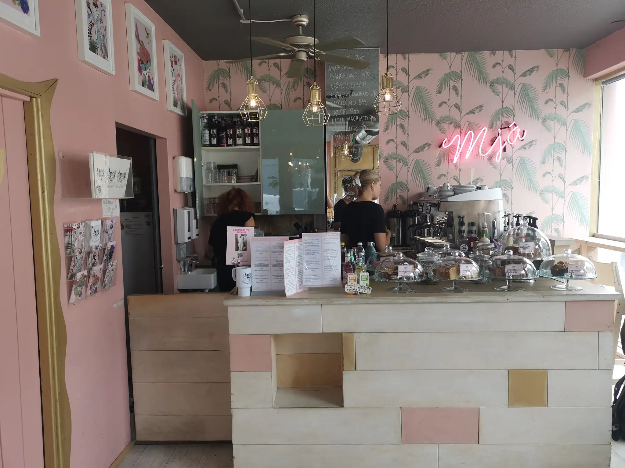 Cat Café (Kattakaffihusið) in Reykjavik, Iceland